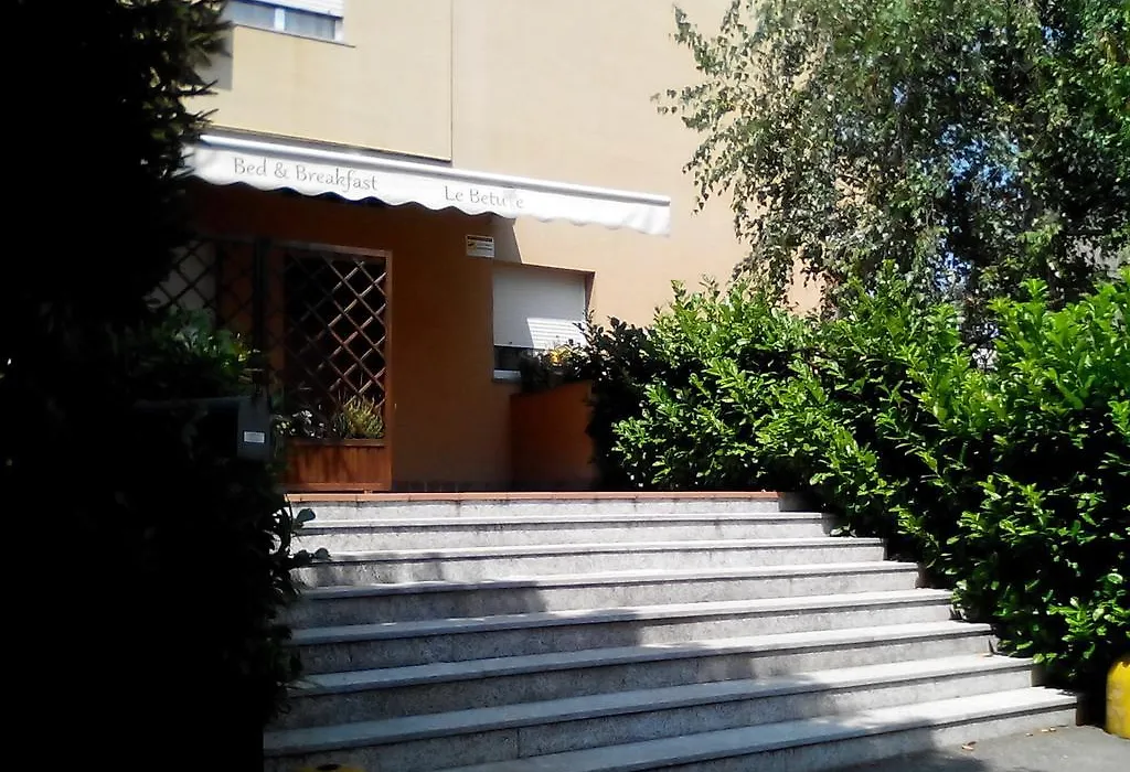La Casa delle Betulle-1
